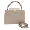 Louis Vuitton Handbag Gray