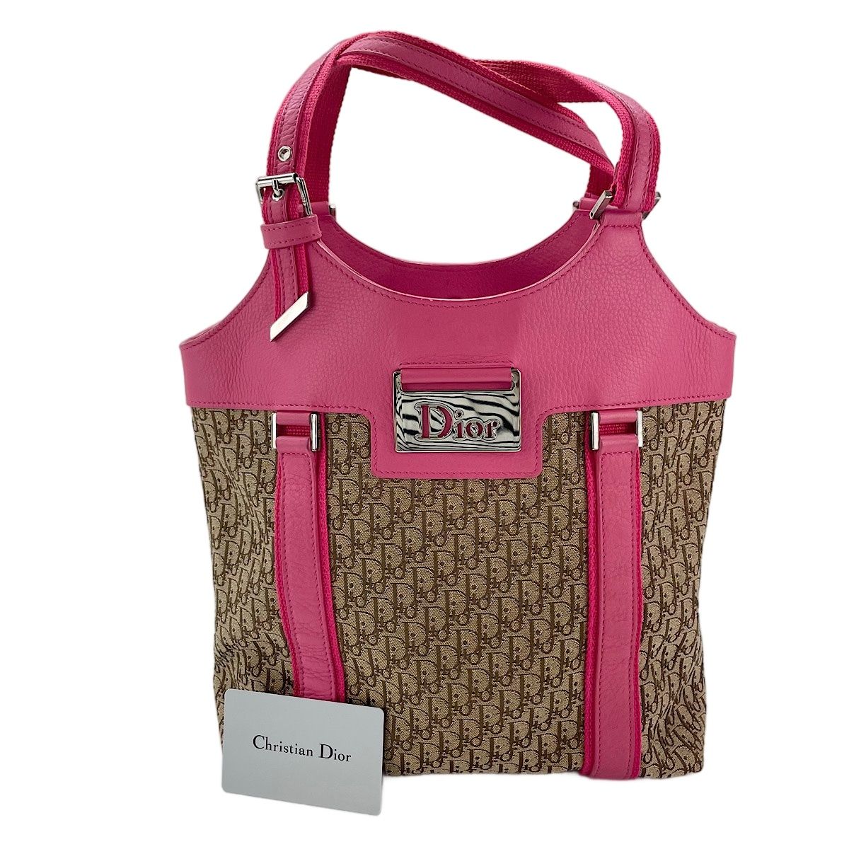 Dior Tote Street Chic