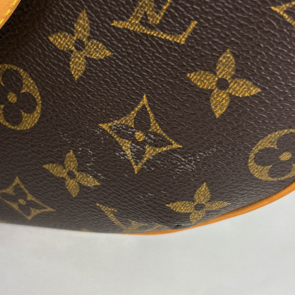 Louis Vuitton Pochette Croissant Shoulder Bag Monogram Brown — view 4