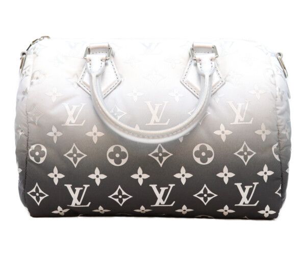 Louis Vuitton LV Ski LV Snow Speedy Bandouliere 25 Handbag — view 3