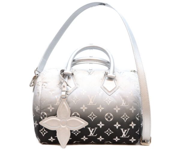 Louis Vuitton LV Ski LV Snow Speedy Bandouliere 25 Handbag