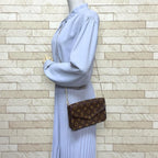 Louis Vuitton Pochette Felicity Monogram Shoulder Bag Canvas Brown — view 2