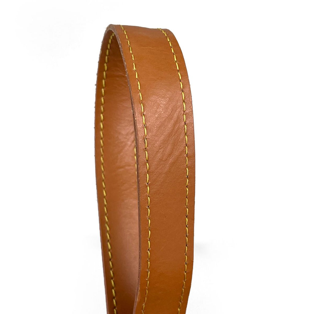 Louis Vuitton Shoulder Bag Epi Cipango Gold — view 8