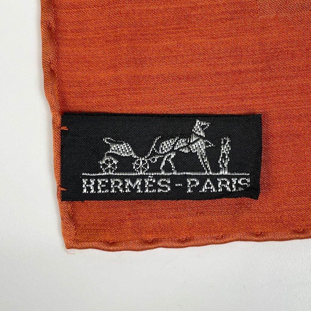 Hermes Grand Ash Shawl Logo Silk Wool Scarf — view 4