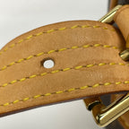 Louis Vuitton Viva-Cite MM Shoulder Bag Monogram Brown — view 5