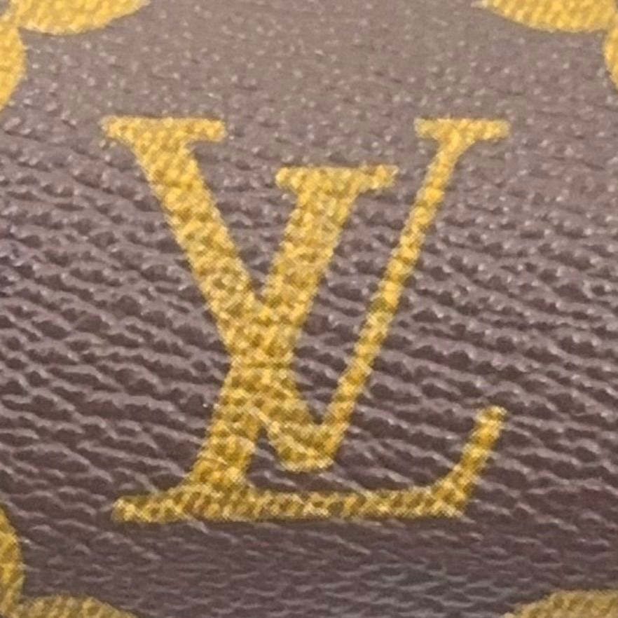 Louis Vuitton Papillon Unknown Leather Brown Light Pouch Gold — view 4