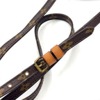 Louis Vuitton Mini Danube Monogram Leather Brown Light Shoulder Bag Gold — view 8