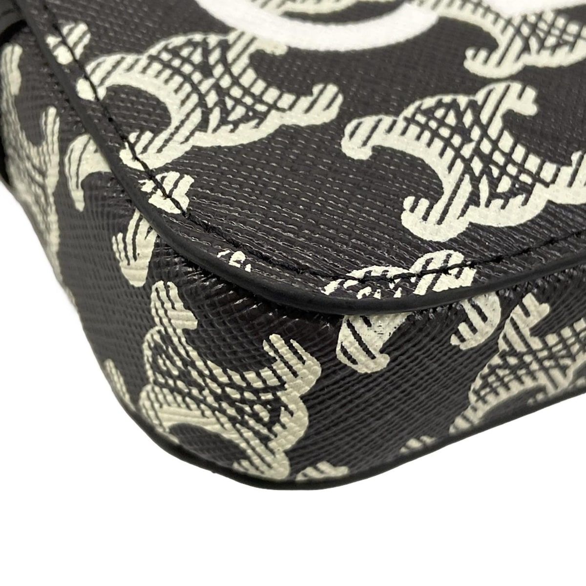 Celine Shoulder Bag Triomphe Canvas Black White Strap Detachable — view 6