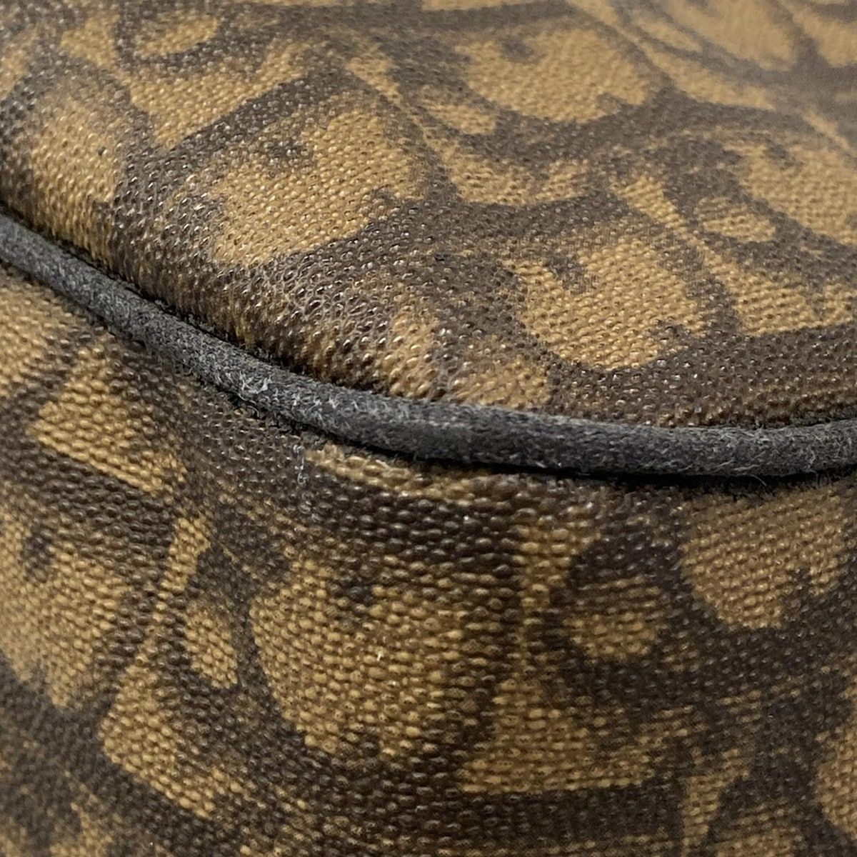 Dior Tote Romantic Trotter Dark Brown Chain Shoulder Leather — view 6