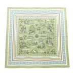 Hermes Carre Shawl Scarf