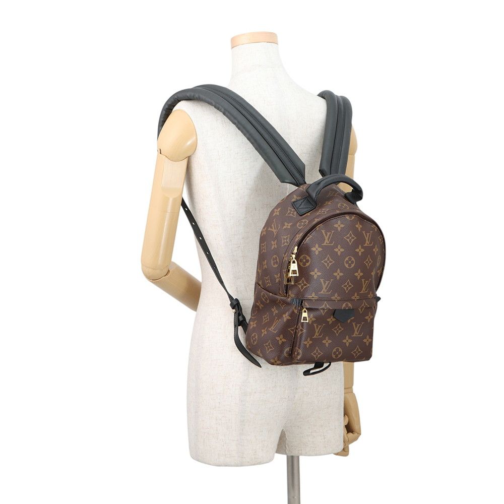 Louis Vuitton Backpack Monogram Palm Springs PM — view 4