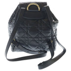 Dior Monsieur Caro CD Logo Plate Cannage Leather Backpack Gold Black — view 2
