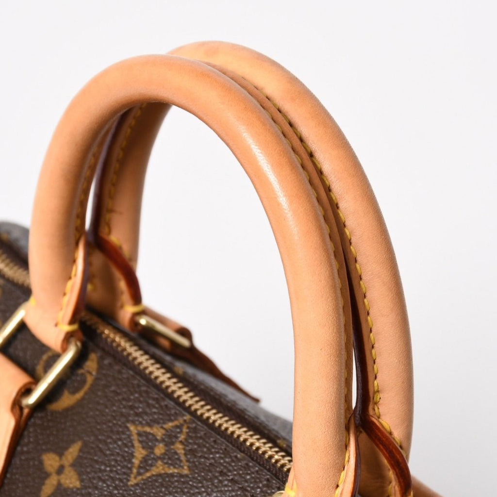 Louis Vuitton Speedy 25 Handbag Monogram Leather Brown Gold — view 6