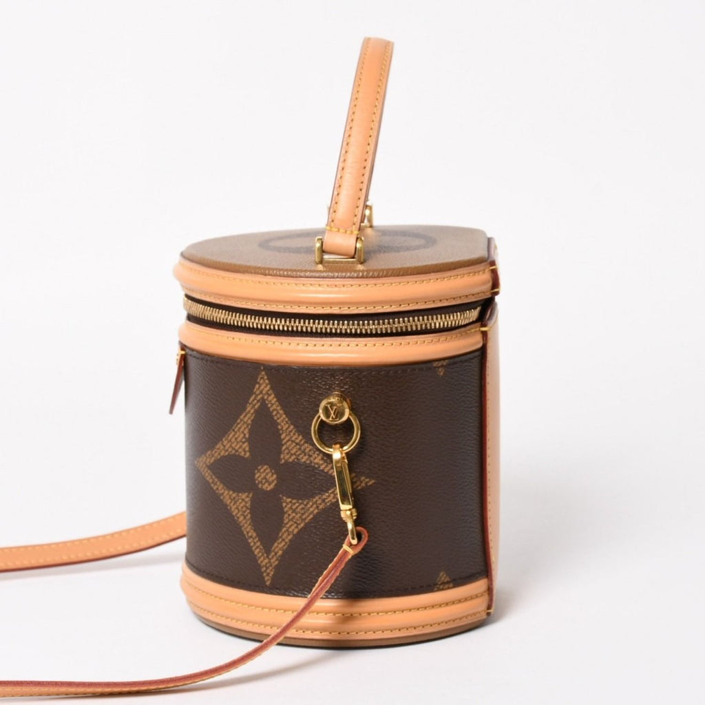 Louis Vuitton Cannes Vanity Monogram Giant Brown Reverse Shoulder Bag — view 3