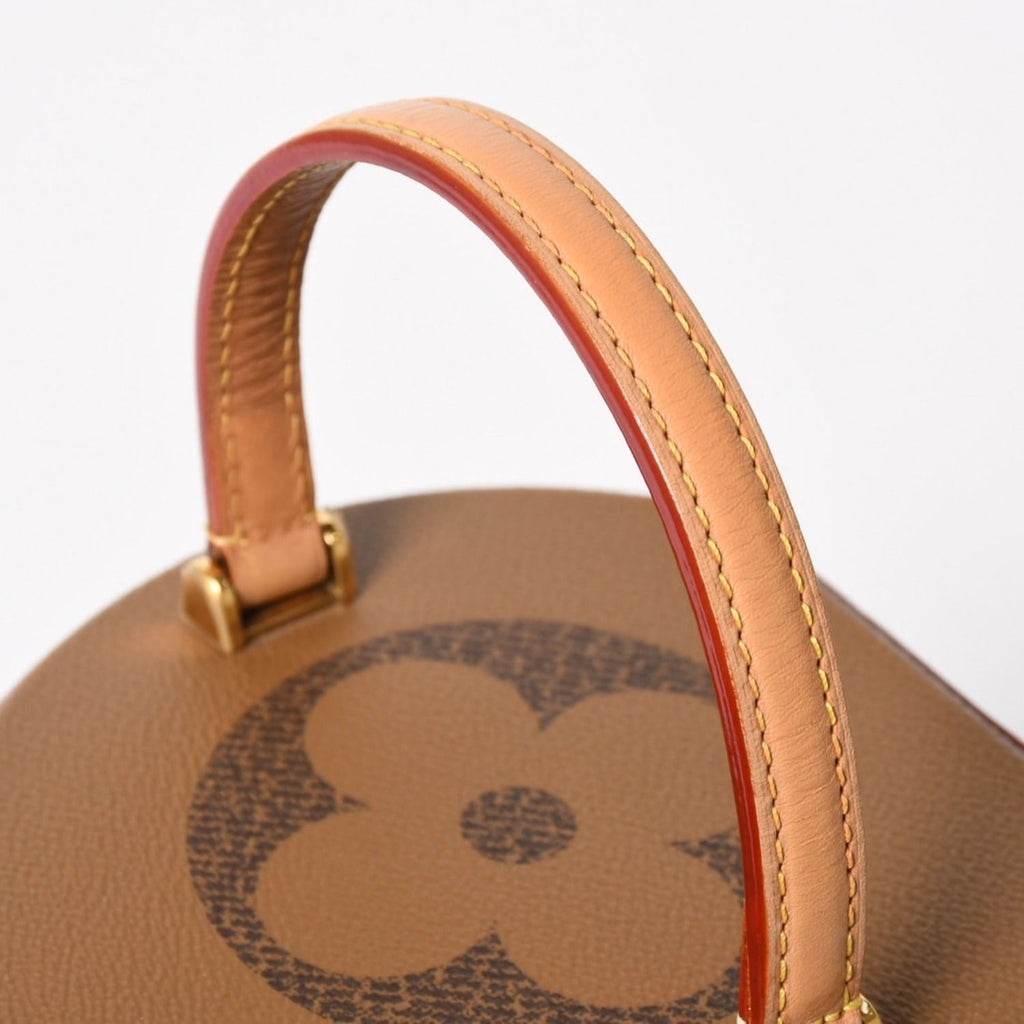 Louis Vuitton Cannes Vanity Monogram Giant Brown Reverse Shoulder Bag — view 5