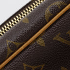 Louis Vuitton Nile Monogram Canvas Brown Shoulder — view 9