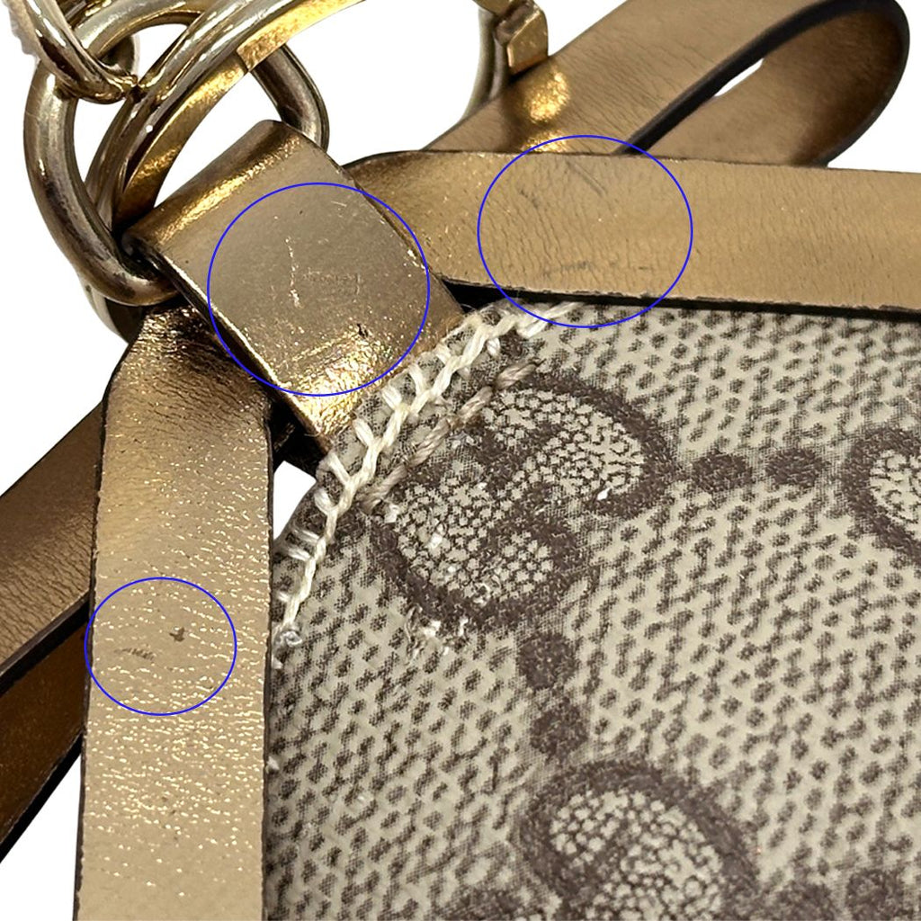 Gucci Key Holder Ori Beagle Brown Black Gold — view 8