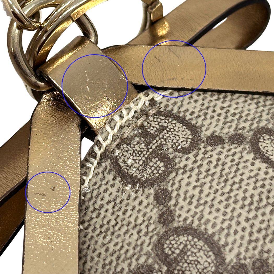 Gucci Key Holder Ori Beagle Brown Black Gold — view 8