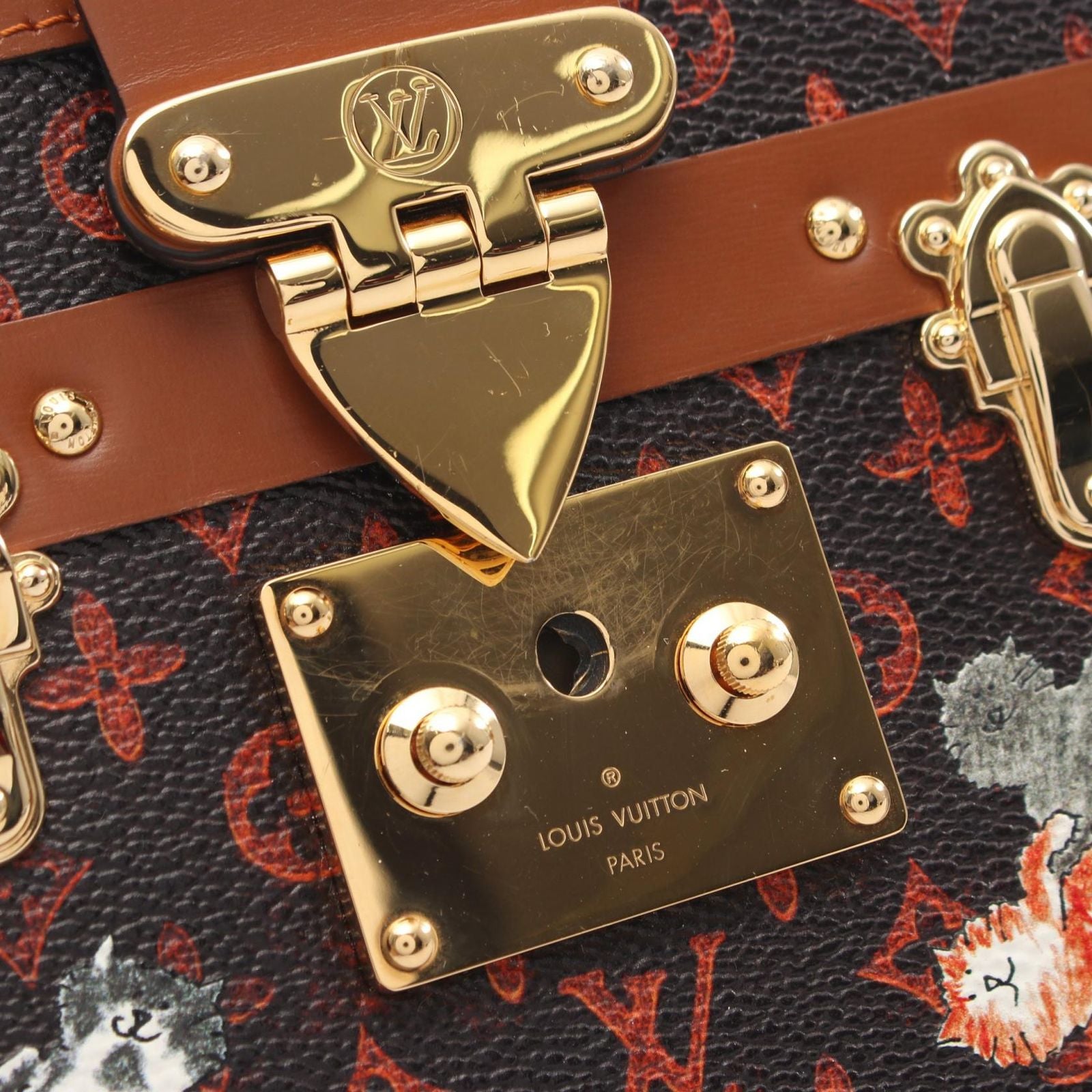 Louis Vuitton Shoulder Bag Petite NM Catgram Canvas Leather — view 9