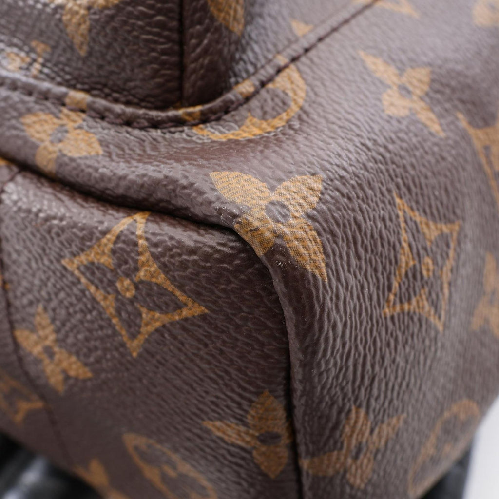 Louis Vuitton Backpack Palm Springs PM Monogram Co Ting Canvas Leather PM — view 6