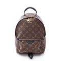 Louis Vuitton Backpack Palm Springs PM Monogram Co Ting Canvas Leather PM