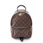 Louis Vuitton Backpack Palm Springs PM Monogram Co Ting Canvas Leather PM