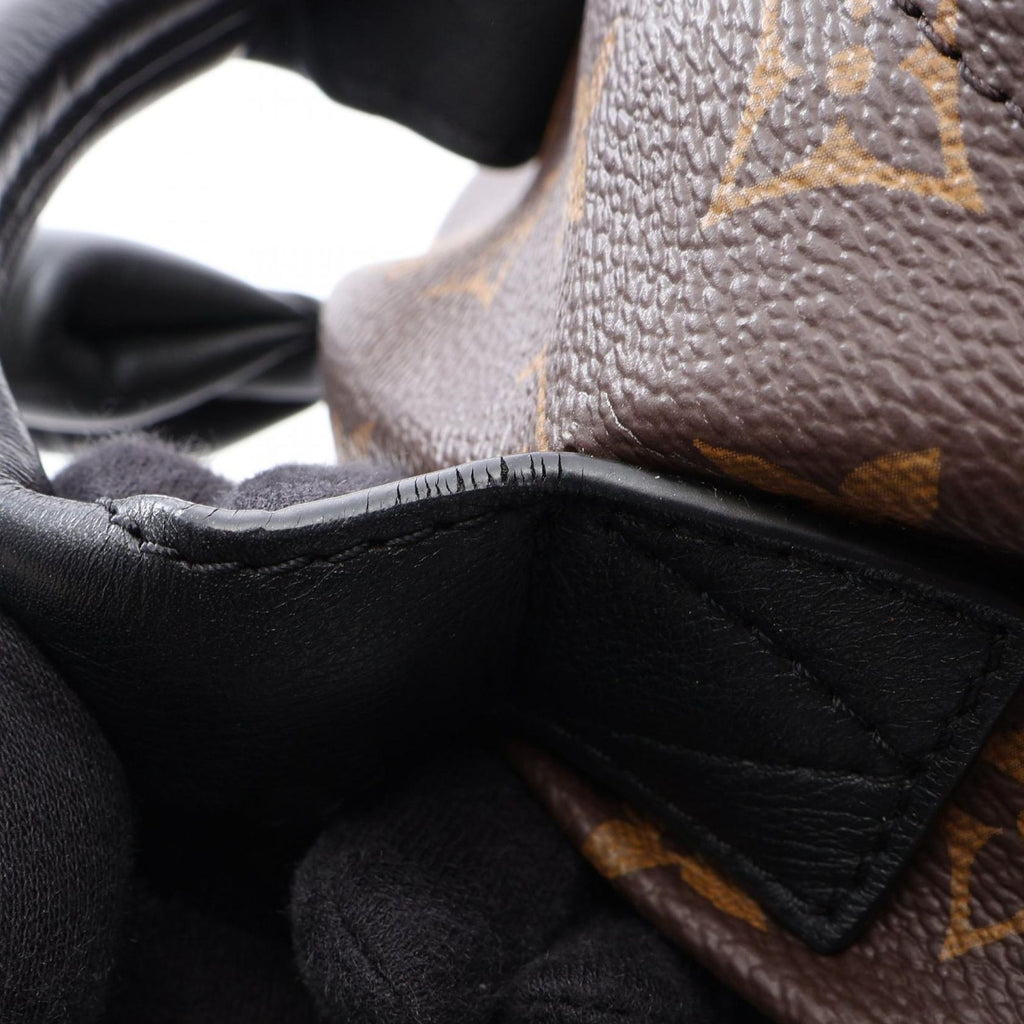 Louis Vuitton Backpack Palm Springs PM Monogram Co Ting Canvas Leather PM — view 9