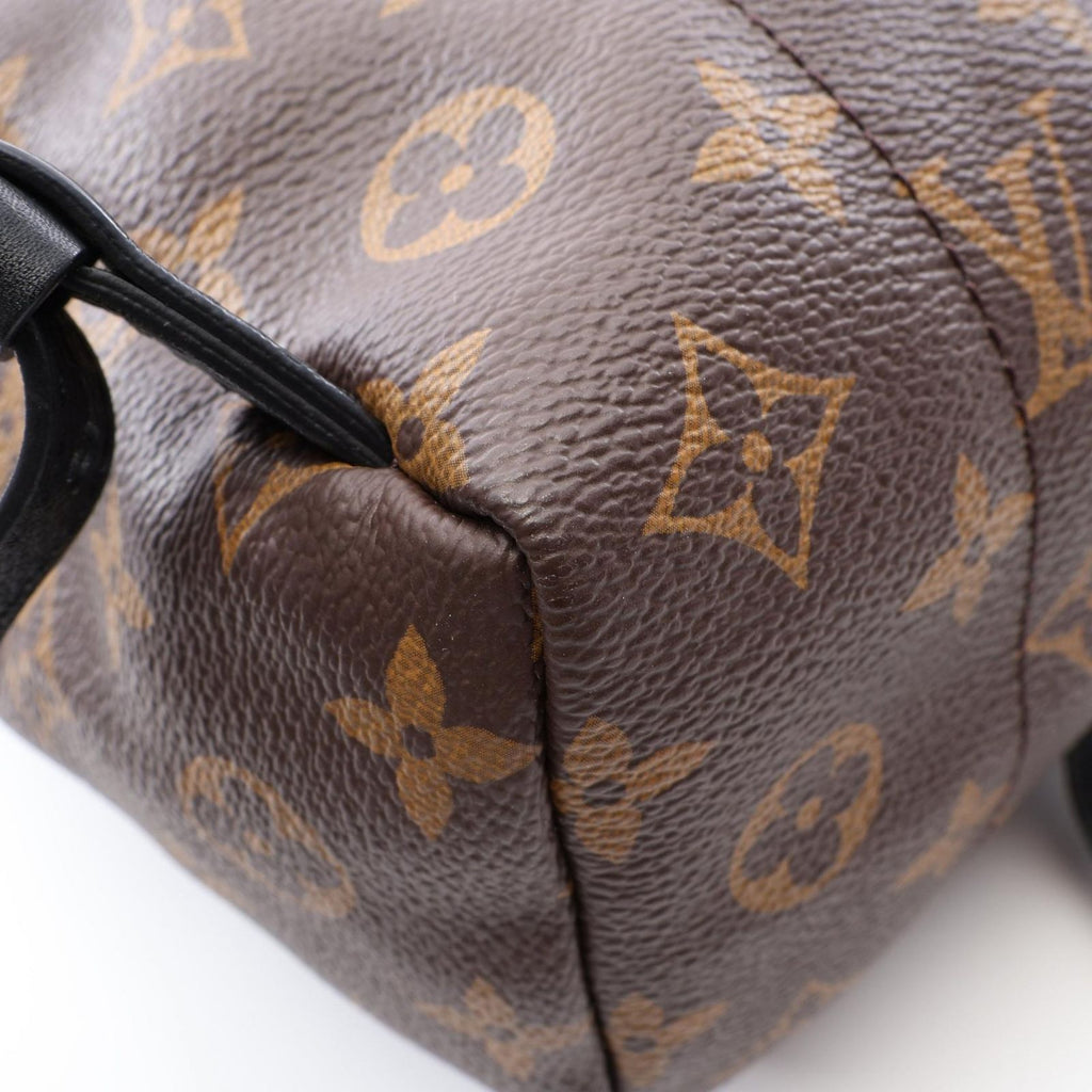 Louis Vuitton Backpack Palm Springs PM Monogram Co Ting Canvas Leather PM — view 7