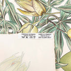 Hermes Carre 90 Passiflores Passion Flower Scarf Large White Multicolor Silk — view 8