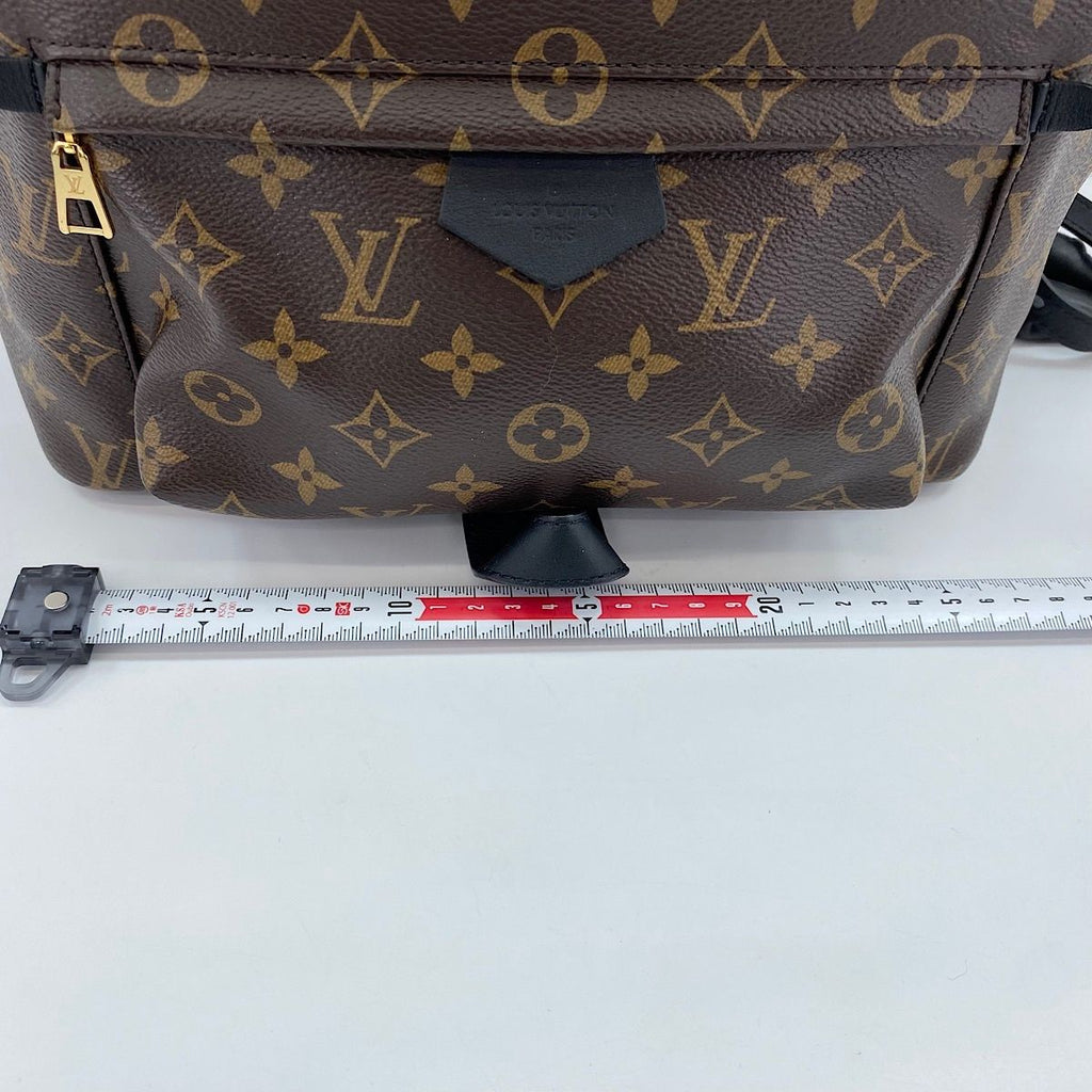 Louis Vuitton Backpack Palm Springs PM — view 4
