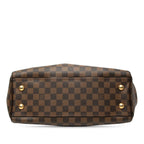 Louis Vuitton Damier Trevi PM 2-Way Shoulder Bag Brown Leather — view 3