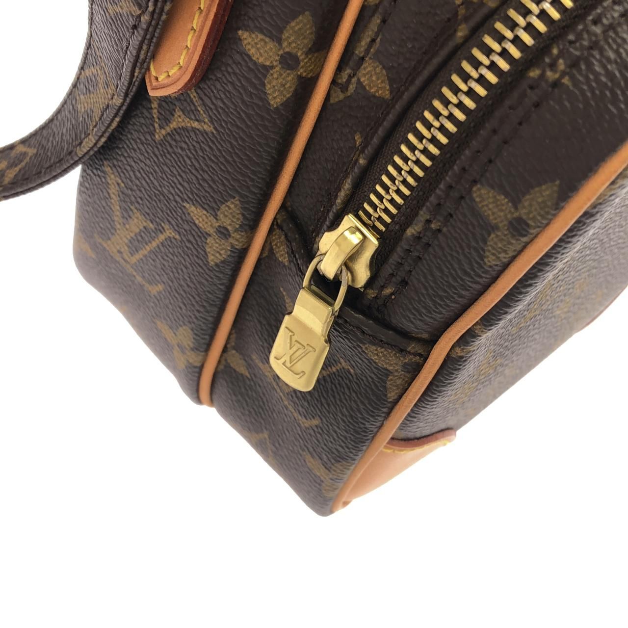 Louis Vuitton Monogram Amazon Shoulder — view 5