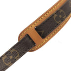 Louis Vuitton Monogram Amazon Shoulder — view 7