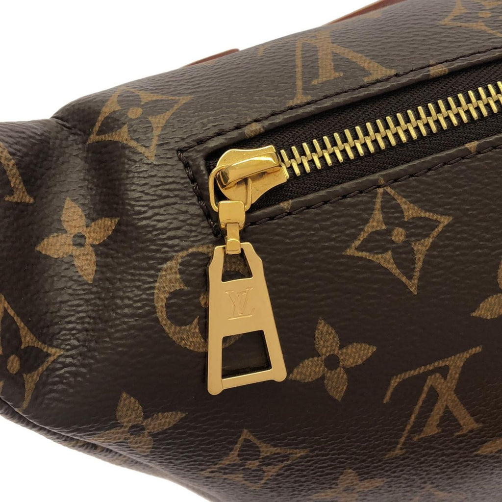 Louis Vuitton Monogram Bum — view 5