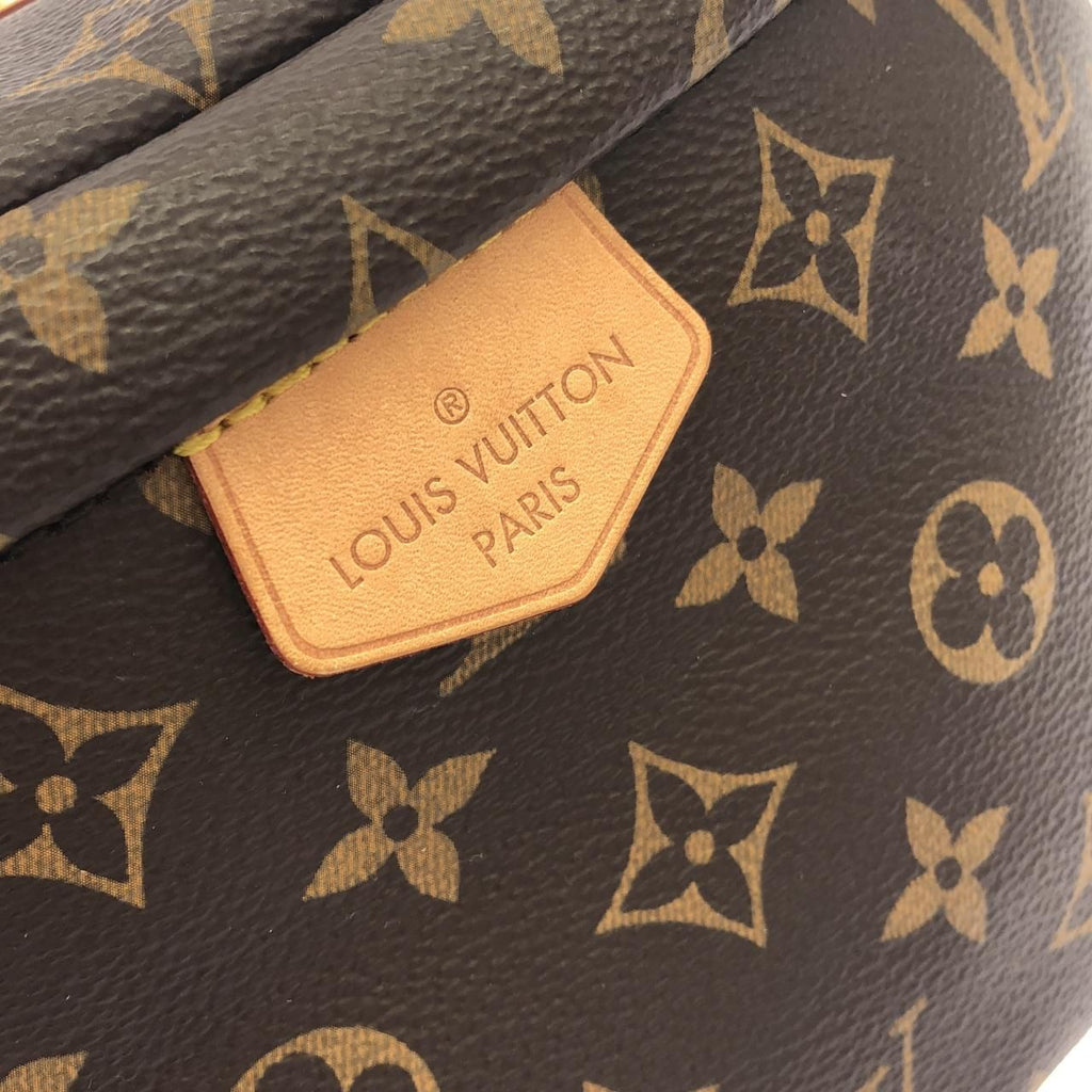 Louis Vuitton Monogram Bum — view 4