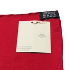 Hermes Pocket Square Pochette Fassonne Grand Handkerchief Bandana Scarf Silk — view 4