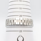 Cartier Watch Roadster Chrono LM Silver Stainless Steel — view 7