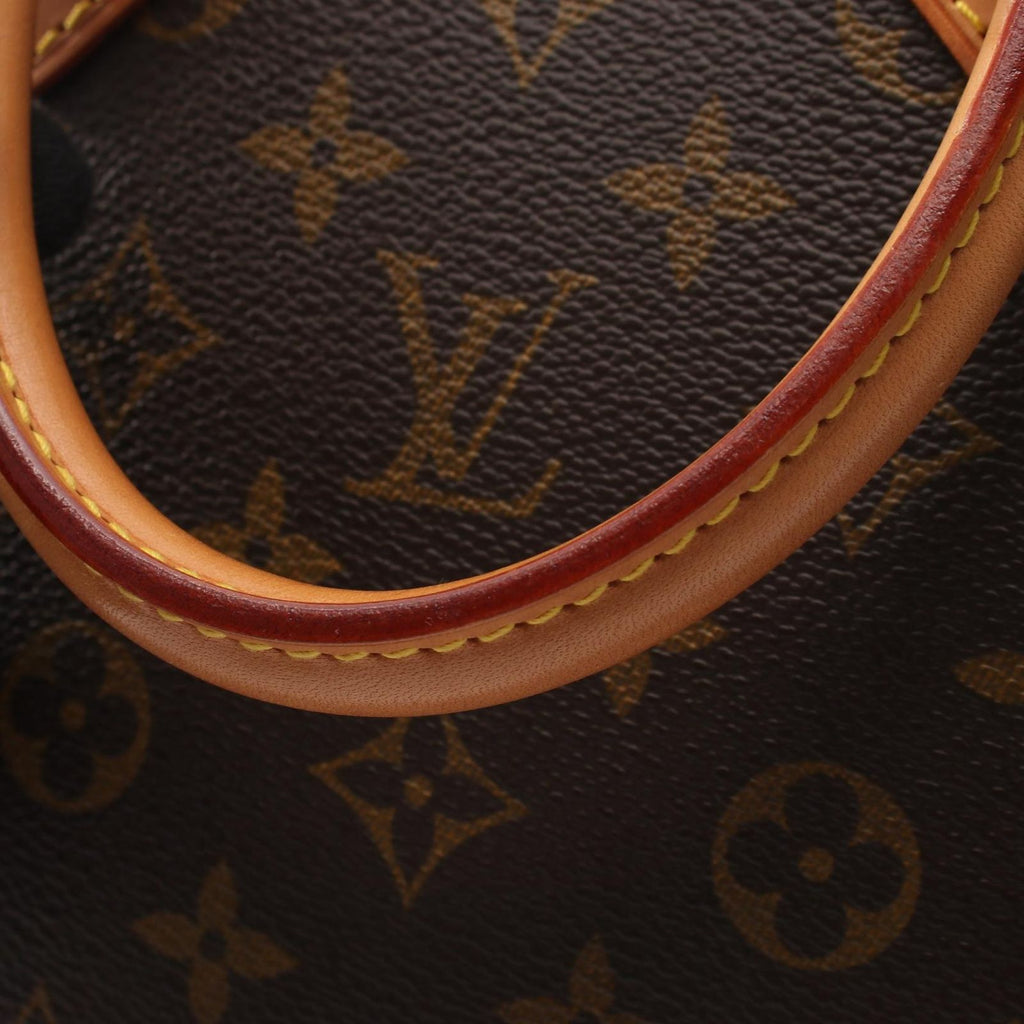 Louis Vuitton Handbag Alma PM Canvas Leather — view 9