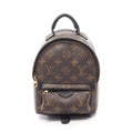 Louis Vuitton Backpack Palm Springs Mini Monogram Canvas Leather
