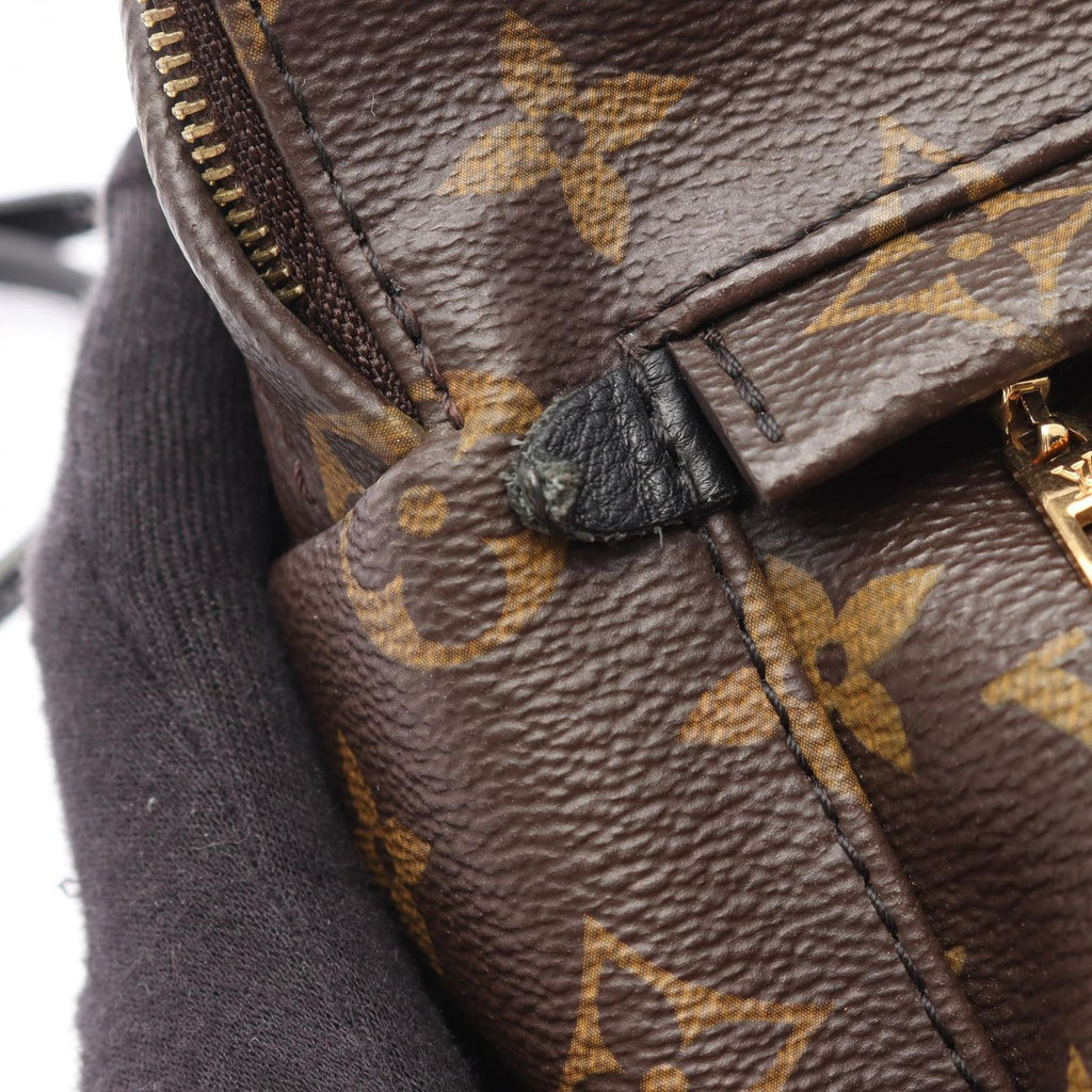 Louis Vuitton Backpack Palm Springs Mini Monogram Canvas Leather — view 8
