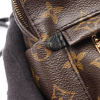 Louis Vuitton Backpack Palm Springs Mini Monogram Canvas Leather — view 8