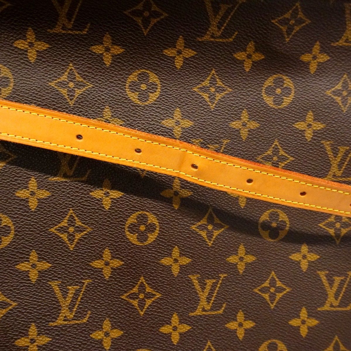 Louis Vuitton Shoulder Bag Monogram Amfar Three Brown — view 9