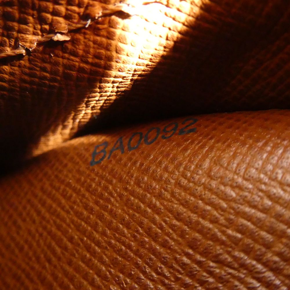 Louis Vuitton Monogram Blower Shoulder — view 8