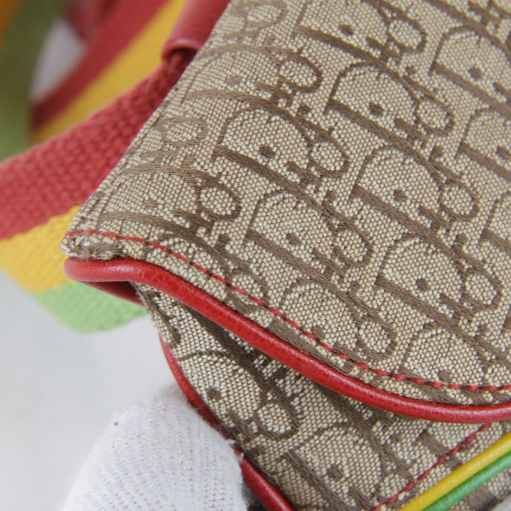 Dior Rasta Trotter Waist Belt Bag Canvas — view 4