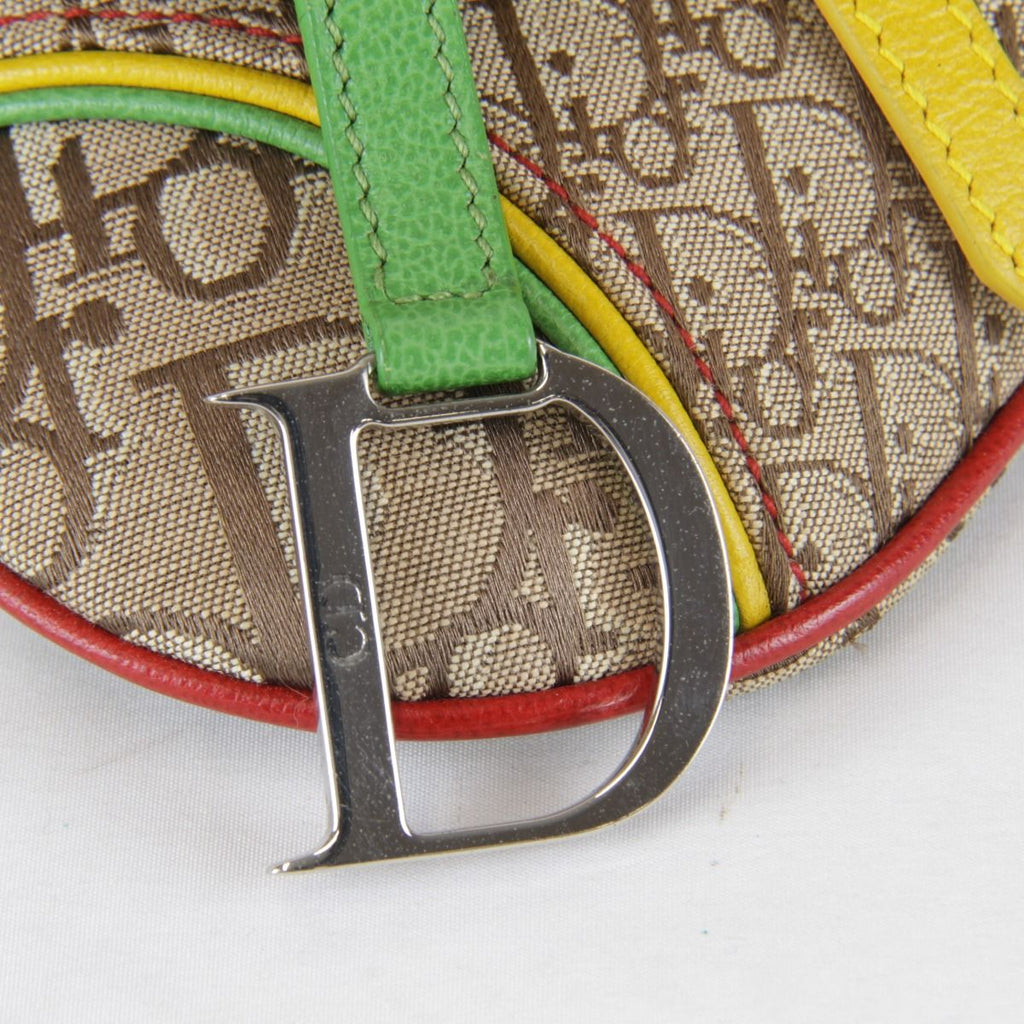 Dior Rasta Trotter Waist Belt Bag Canvas — view 5