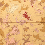 Hermes Carre 90 Hemisphaerium Coeli Boreale Northern Hemisphere Constellation — view 2