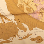 Hermes Carre 90 Hemisphaerium Coeli Boreale Northern Hemisphere Constellation — view 5