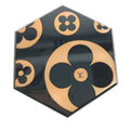 Louis Vuitton Case Limited to 200 Wajima Lacquer Black Shoulder