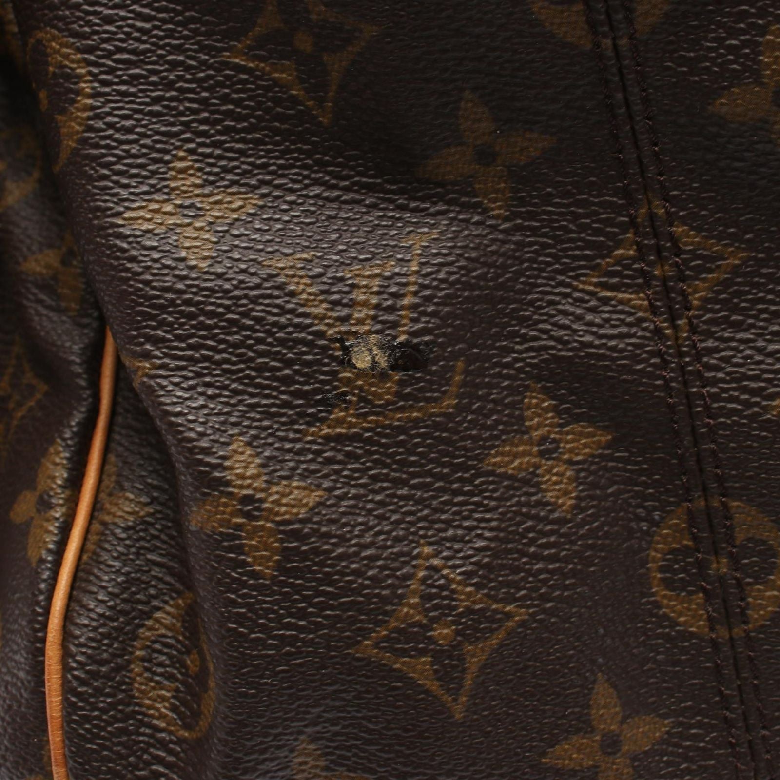 Louis Vuitton Tote Irene Canvas Leather — view 8