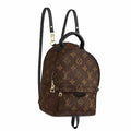 Louis Vuitton Monogram Palm Springs Backpack Mini Brown